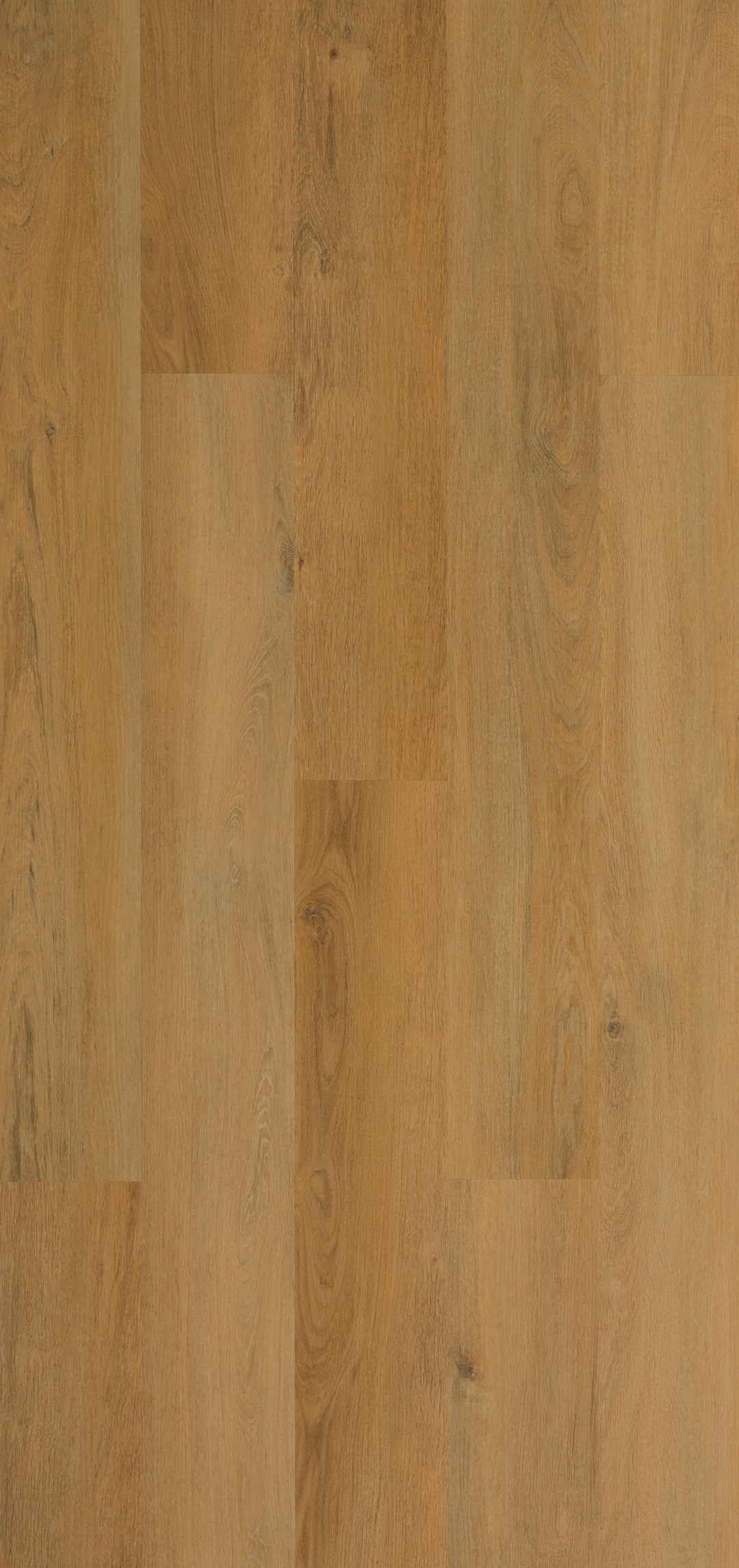 Suelo SPC Galaxy Elite Bosque Bermejo 229x1828 mm — detall