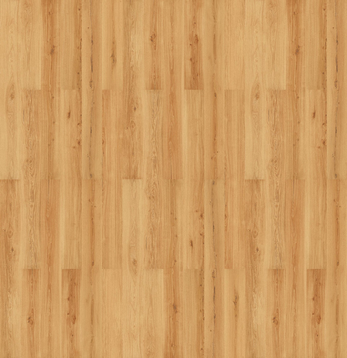 Suelo de Corcho Wicanders Wood Natural XL Matera Oak 10 mm 4V 80004805 — lama