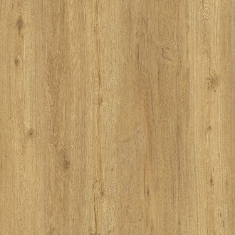 Suelo vinílico SPC Dioco Excellent Roble Calvia — vista frontal de la veta y los nudos del decorado