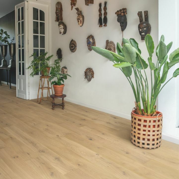 Quick-Step Palazzo Roble Puro Extra Mate PAL3100S