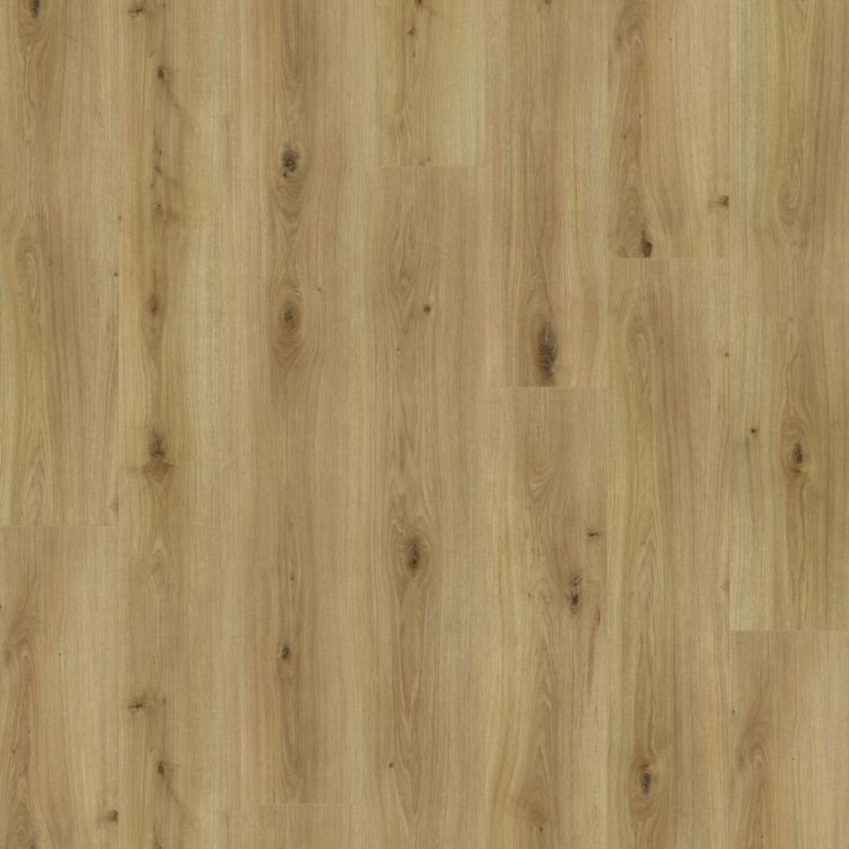 Disfloor Top Uniclic AC4/32 XXL Roble Natural Claro 8 mm 36800