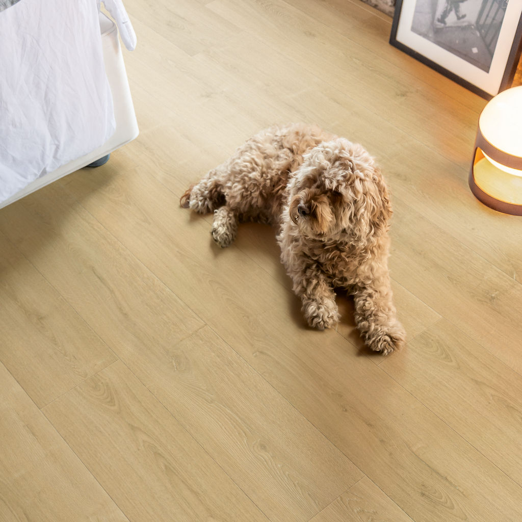 Quick-Step Capture AC4 9 mm Roble Natural Cepillado SIG4763 - ambiente