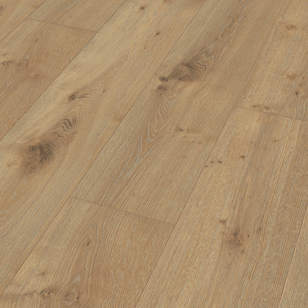 Lamas del laminado MeisterDesign LL 250 Roble Dakar colocadas, vistas en perspectiva